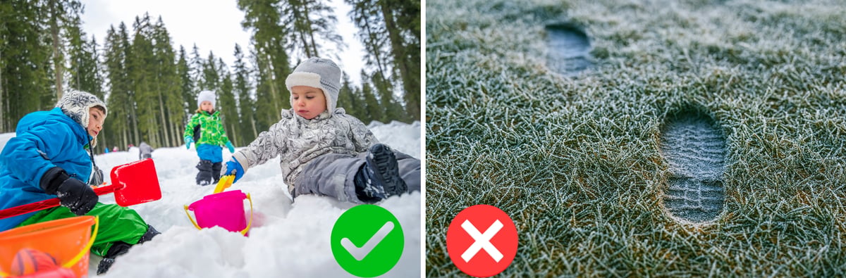 Winter Fun, Zero Lawn Regrets: How to Play Outside Without Ruining Your ...