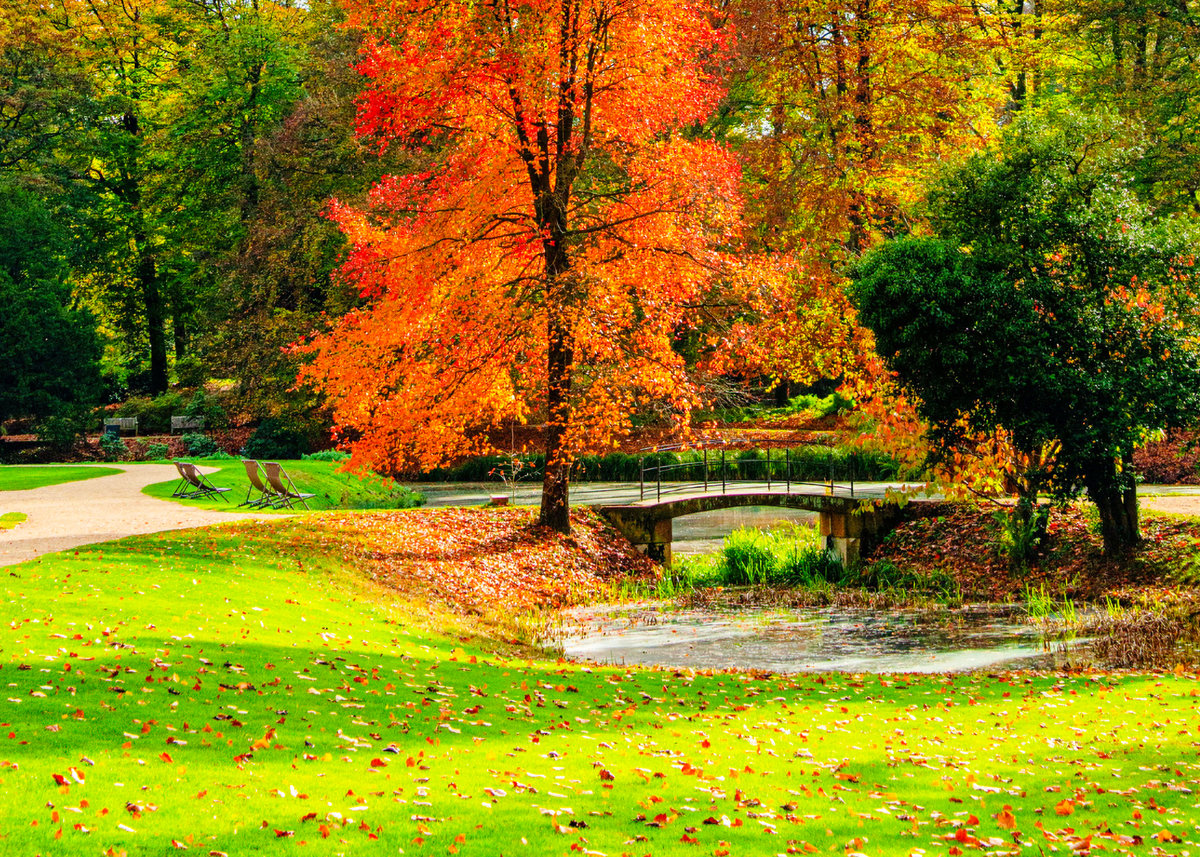 Mole Mayhem: What Southeast Michigan Homeowners Should Know This Fall
